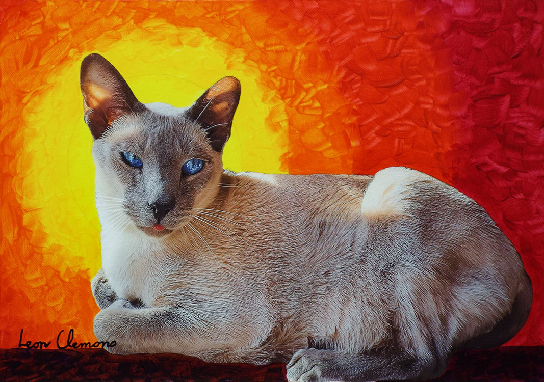 Leon's unique artwork - Lazy Siamese cat called Lion