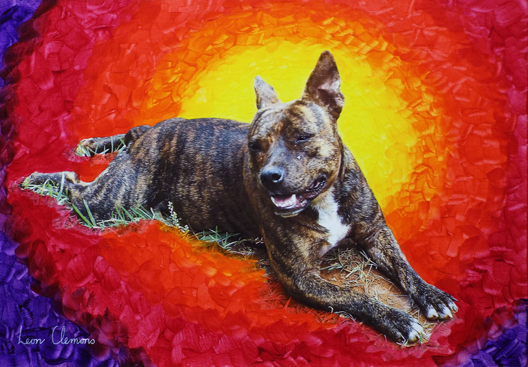 Leon's unique artwork - Staffordshire Bull Terrier