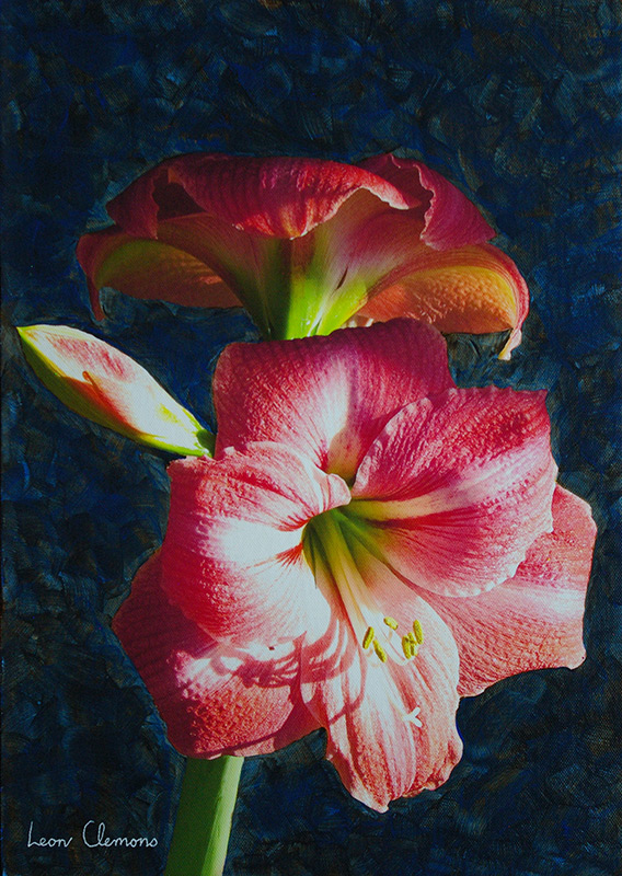 Leon's super realistic artwork - Amaryllis Hippeastrum 3
