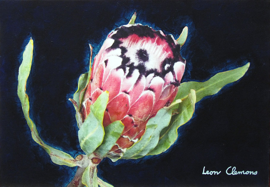 Leon's super realistic artwork - Breathtaking Protea