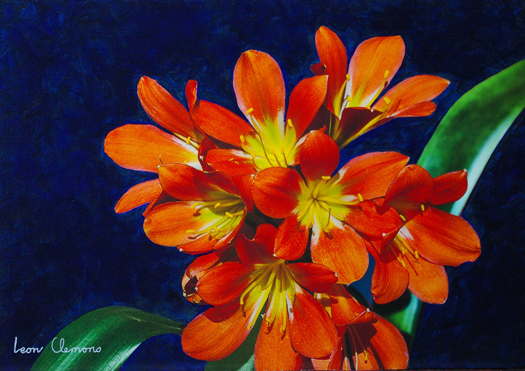 Leon's super realistic artwork - Clivea Miniata 2