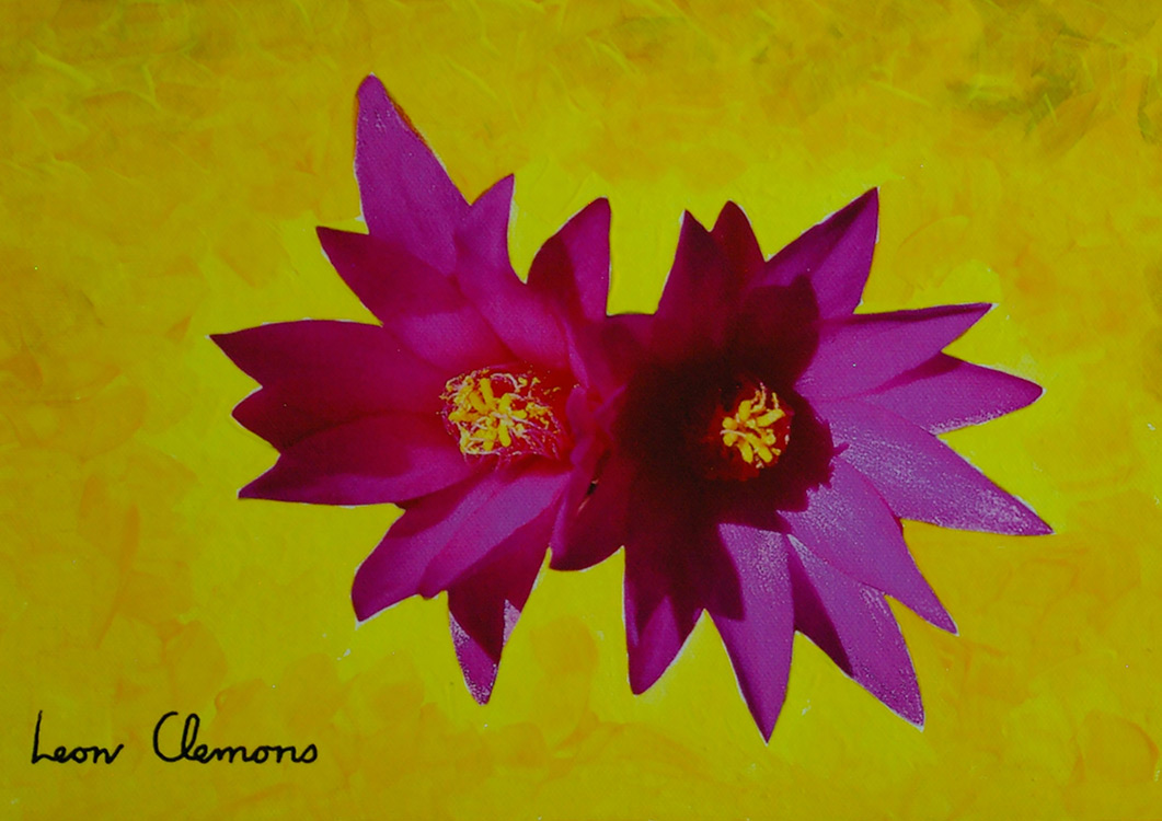 Leon's super realistic artwork - Epiphyllum Cactus 1