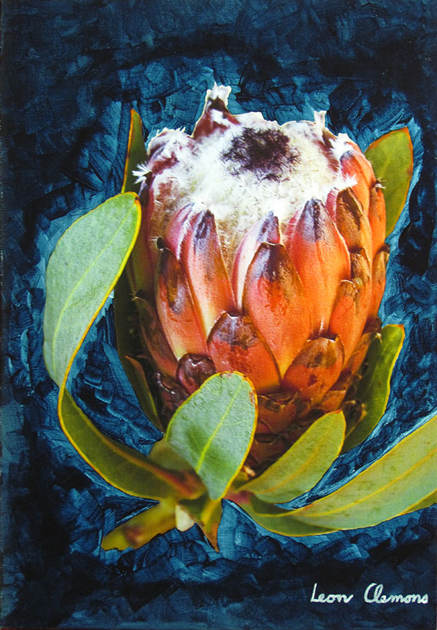 Leon's super realistic artwork - Glamorous Protea