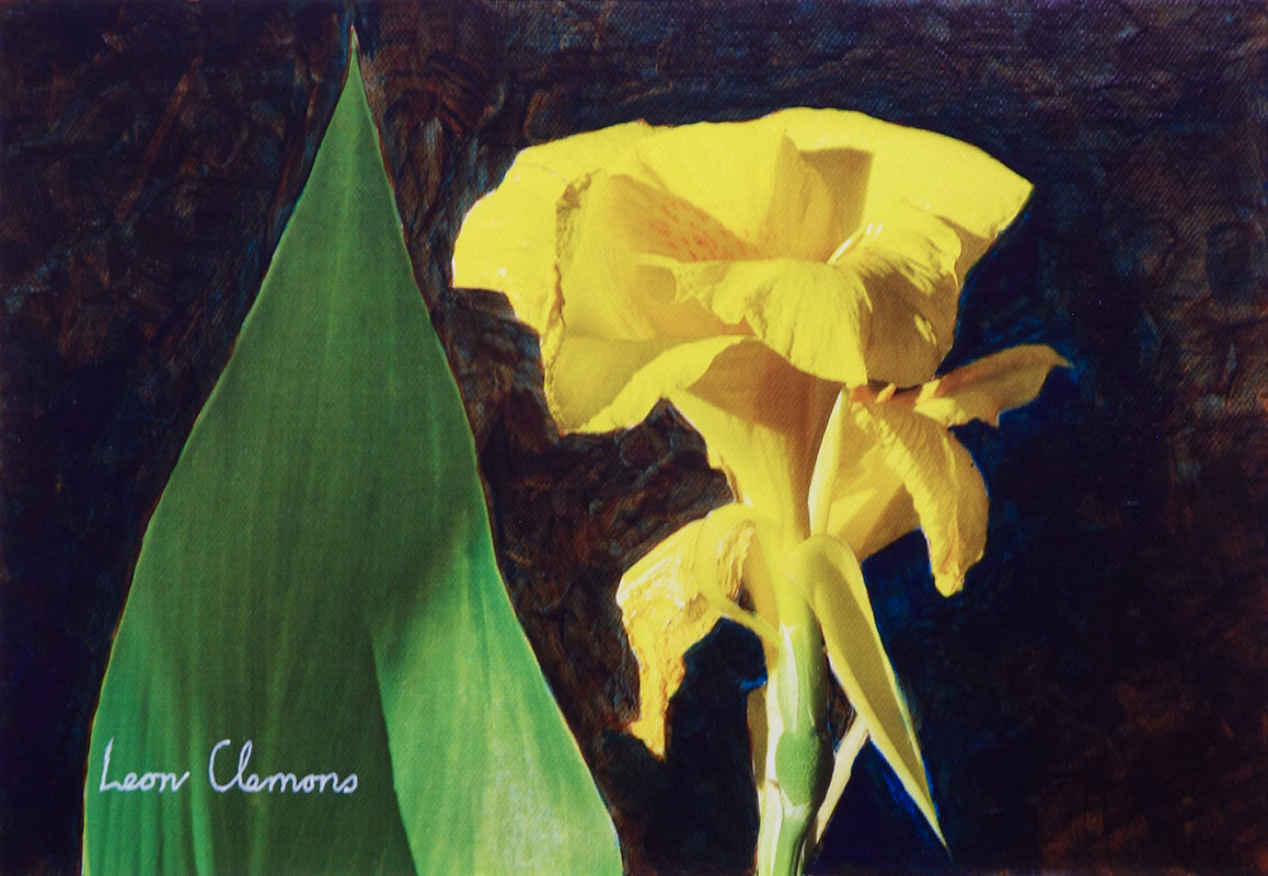 Leon's super realistic artwork - Iris 1