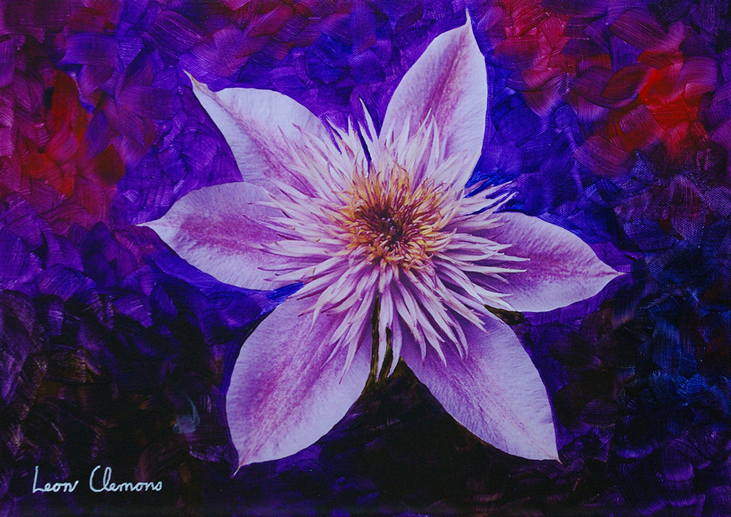 Leon's super realistic artwork - Midnight Clematis 1