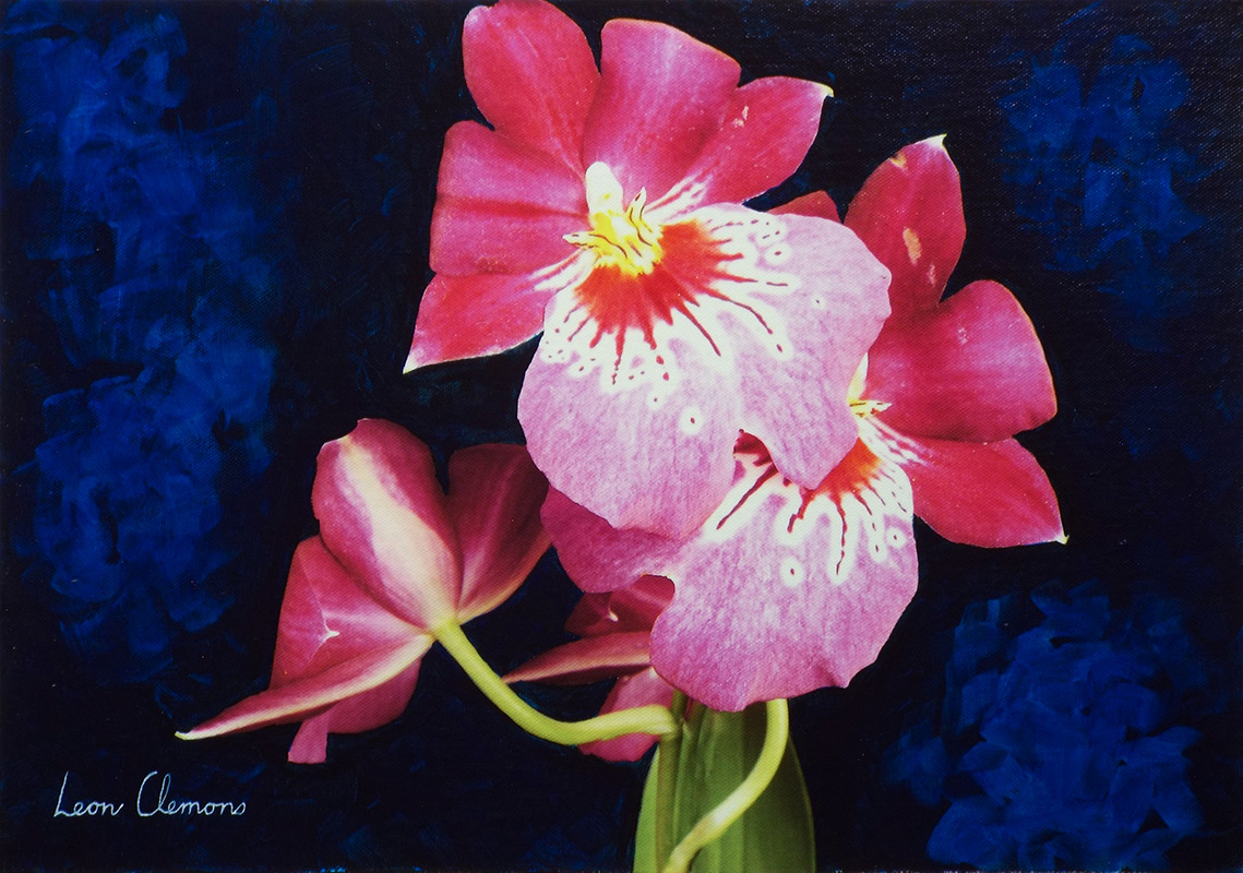 Leon's super realistic artwork - Orchid 1