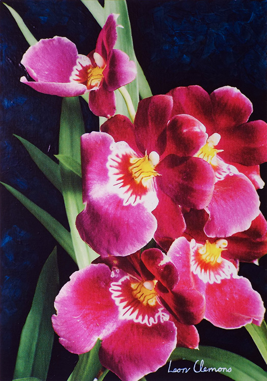 Leon's super realistic artwork - Orchid 2