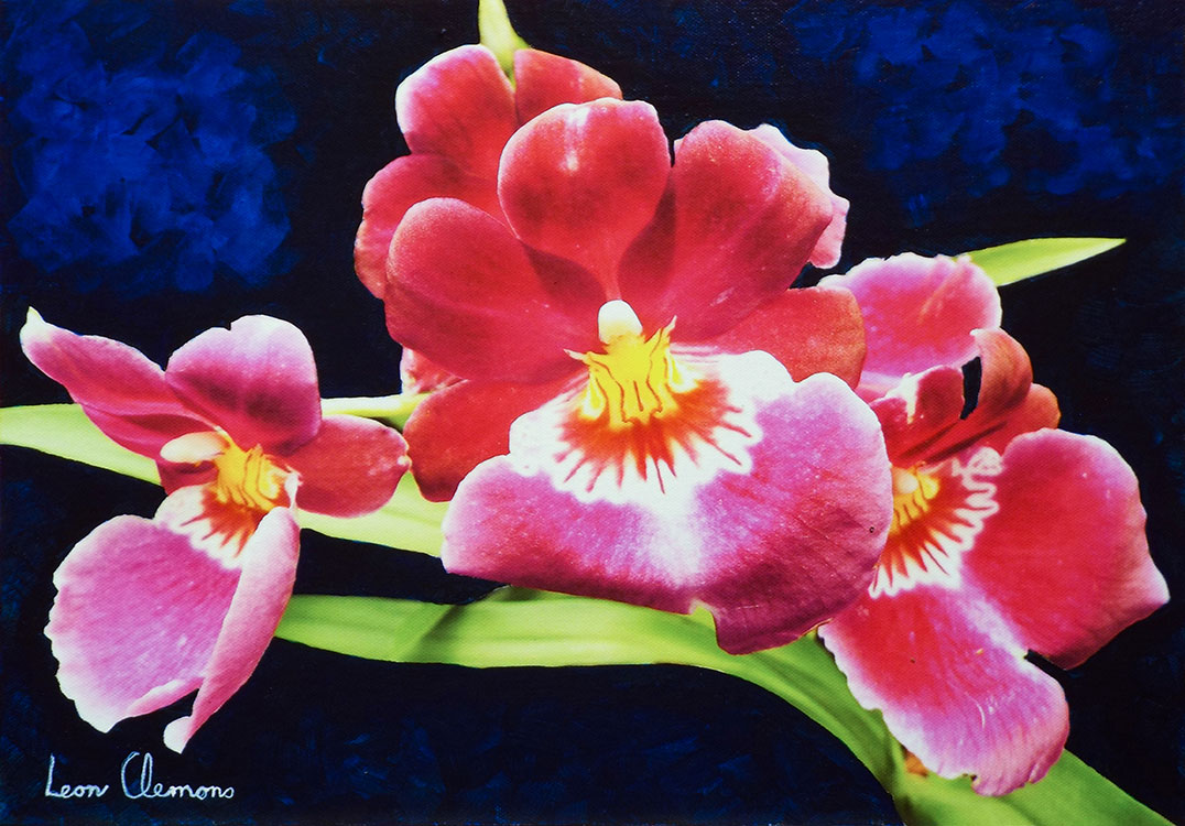 Leon's super realistic artwork - Orchid 3