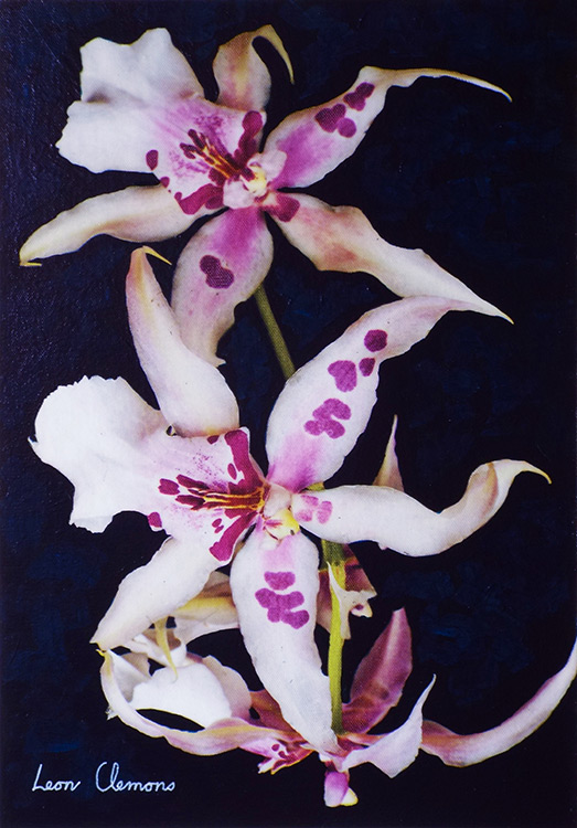 Leon's super realistic artwork - Orchid 5