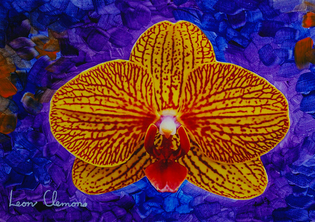 Leon's super realistic artwork - Orchid 7