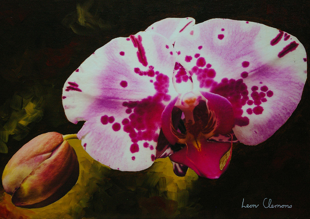 Leon's super realistic artwork - Orchid 9