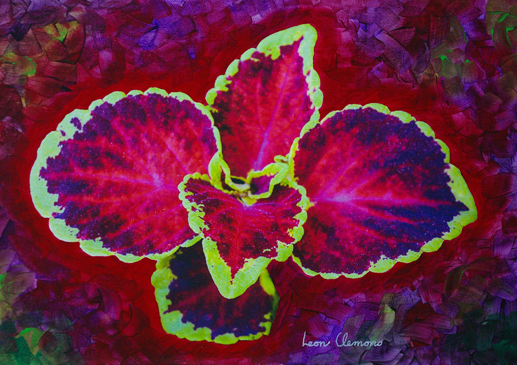 Leon's super realistic artwork - Painted Nettle