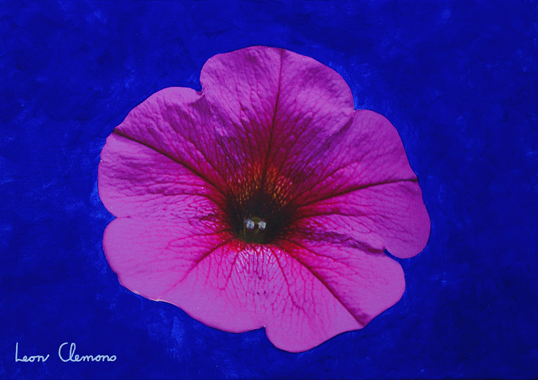 Leon's super realistic artwork - Petunia 1