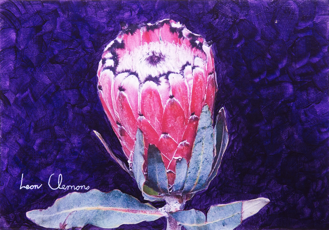 Leon's super realistic artwork - Protea 1