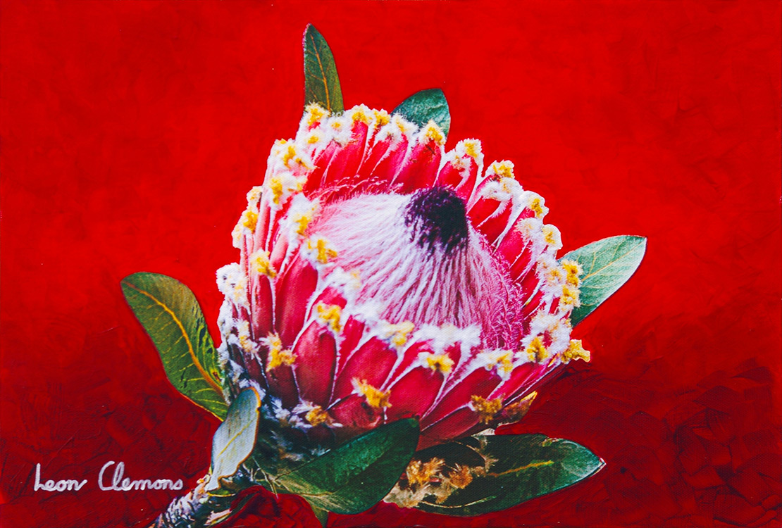 Leon's super realistic artwork - Protea 4