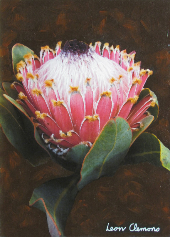 Leon's super realistic artwork - Burgundy Arum Lily