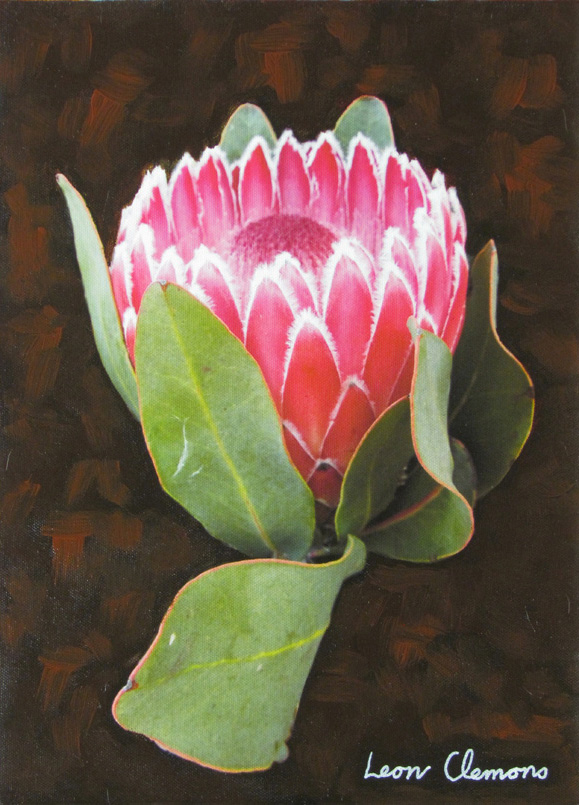 Leon's super realistic artwork - Burgundy Arum Lily