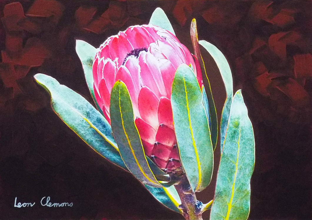 Leon's super realistic artwork - Lovely Protea