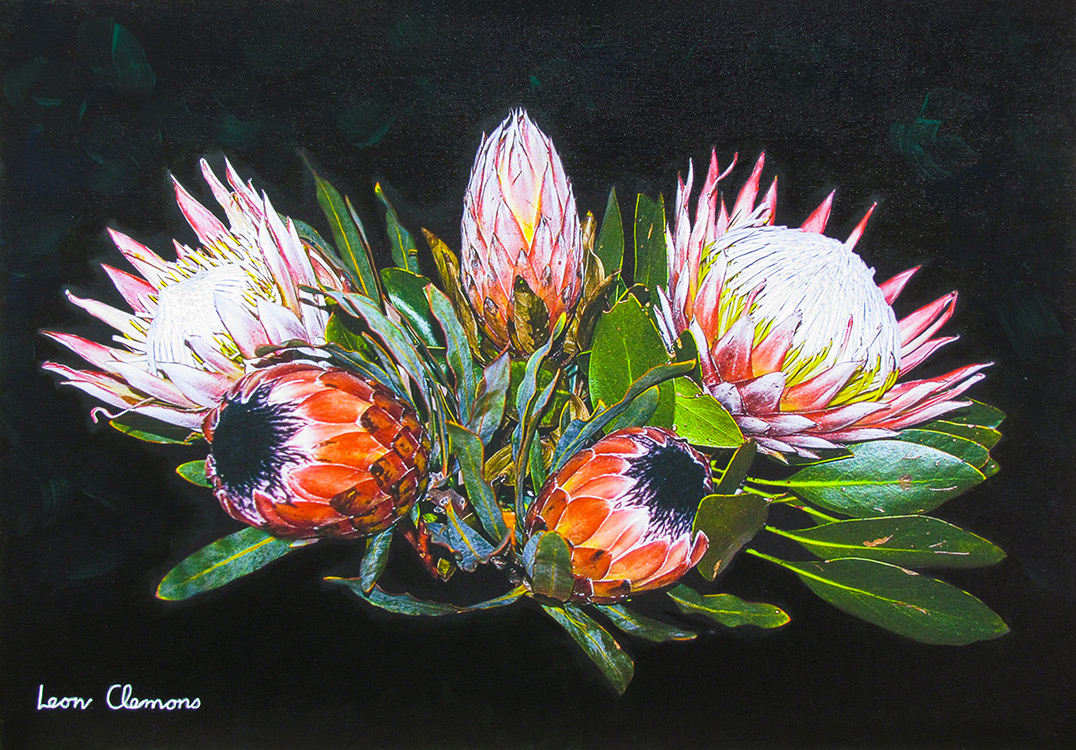 Leon's super realistic artwork - Protea Symphony