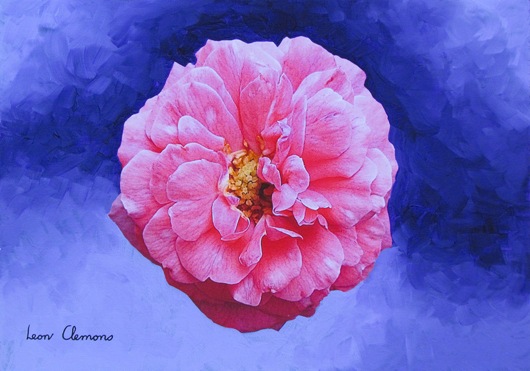 Leon's super realistic artwork - Serene Rose