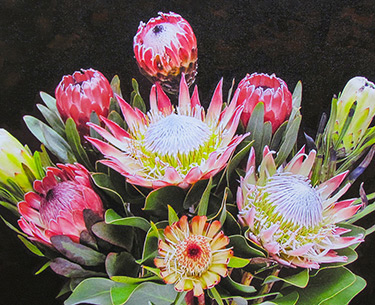 Leon Clemons super-realistic artwork - Dawn's Protea magnificence