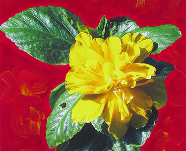 Leon Clemons super-realistic artwork - Glorious Hibiscus