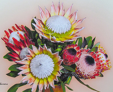 Leon Clemons super-realistic artwork - Pastel Protea Poise
