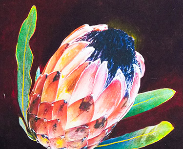 Leon Clemons super-realistic artwork - Protea Nocturne