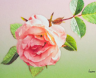 Leon Clemons super-realistic artwork - Rose Pink Whisper