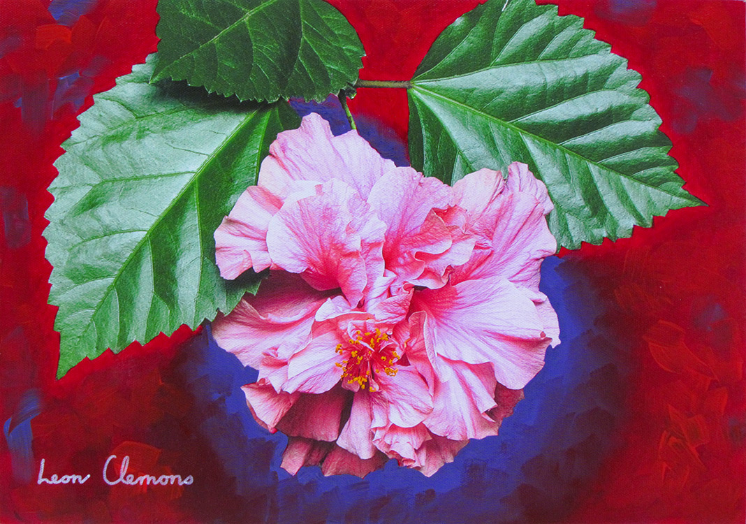 Leon's super realistic artwork - Vivid Hibiscus