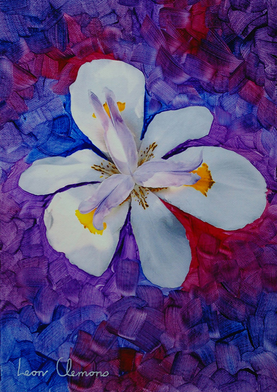 Leon's super realistic artwork - Wild Iris 1