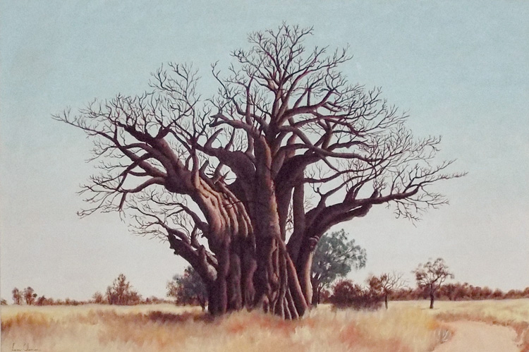 Leon's realistic artwork - Baobab next to Tsokwane