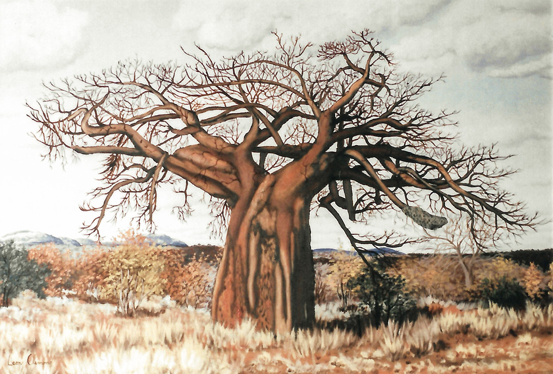 Leon's realistic painting - Baobab