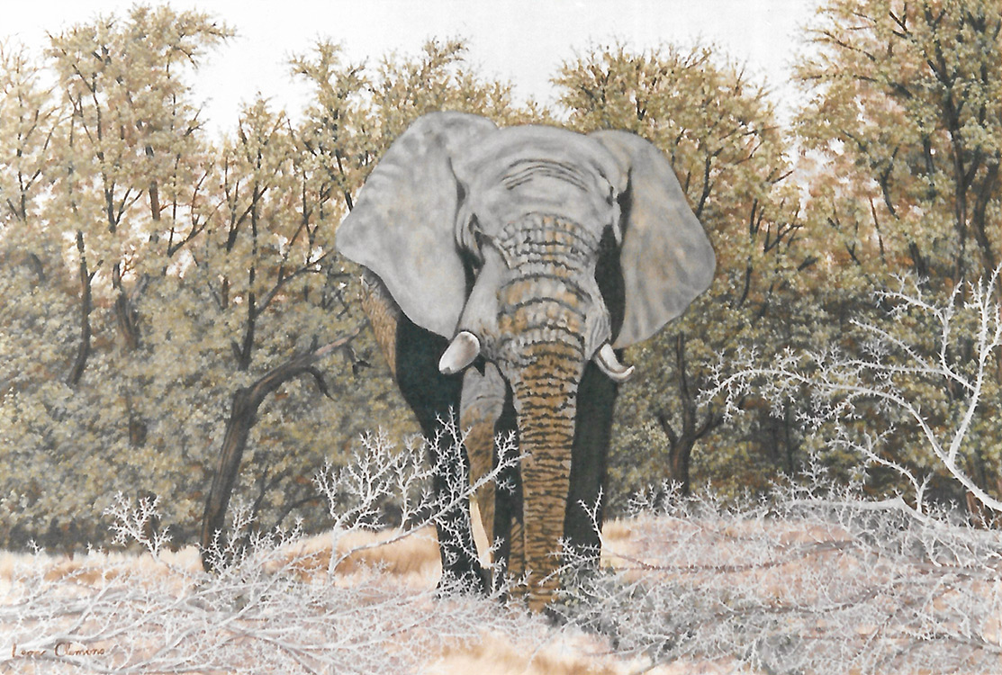 Leon's realistic painting - Elephant Study 1