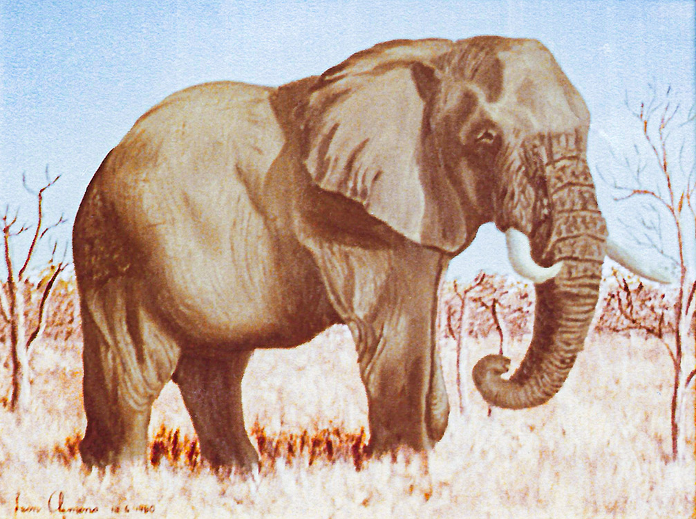 Leon's realistic painting - Elephant Study 2