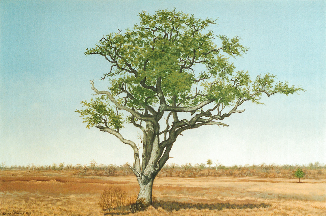 Leon's realistic painting - Lonely Leadwood