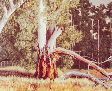 Leon Clemons realistic art - Baobab near Musina