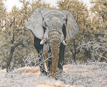 Leon Clemons realistic art - Baobab near Musina