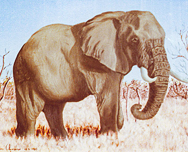 Leon Clemons realistic art - Baobab near Musina