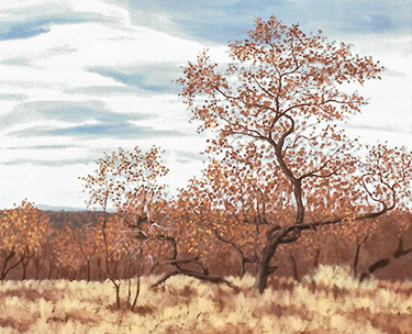 Leon Clemons realistic art - Baobab near Musina